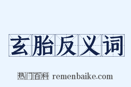 玄胎反义词是什么意思的图片